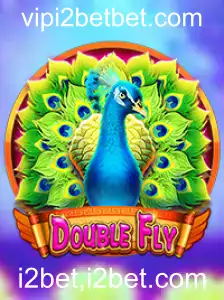 Explorando o Mundo de DoubleFly: Um Guia Completo
